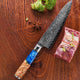 3 Piece Damascus Steel with Blue Resin Handle Kitchen Knife Set