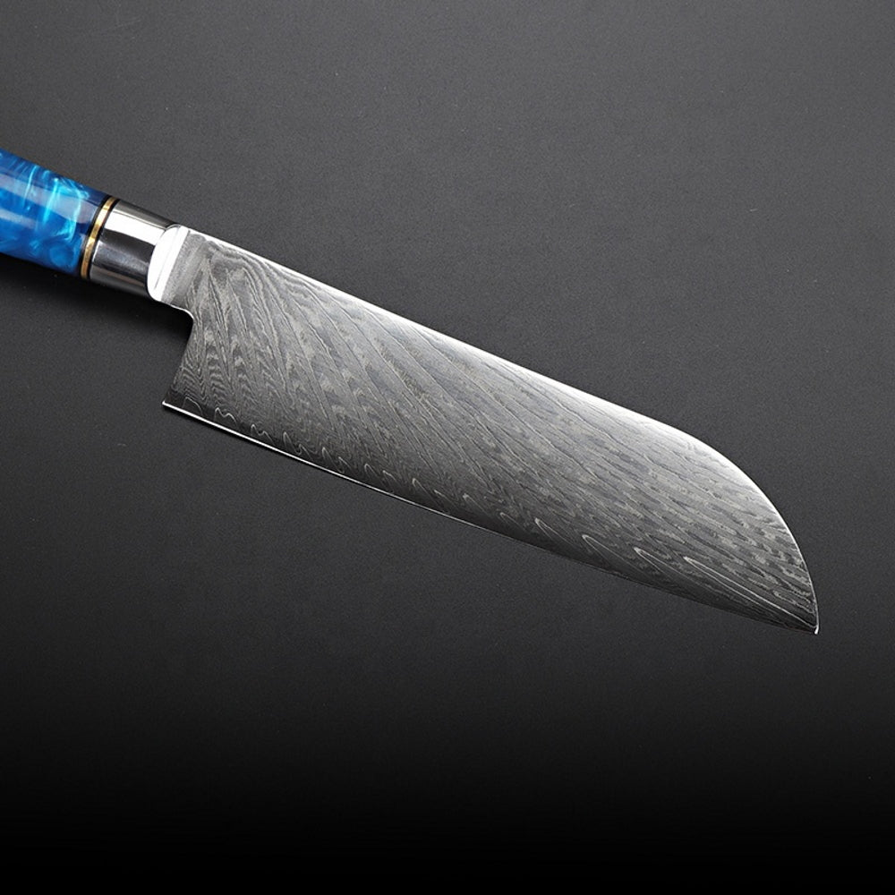 Damascus Knife Steel Kitchen Knife With Blue Resin Handle - Temu